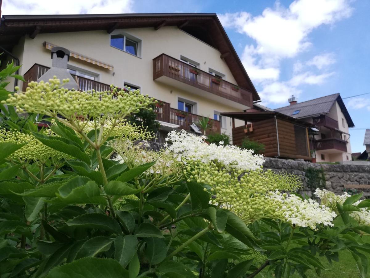 Apartments Mas Dovje Kültér fotó