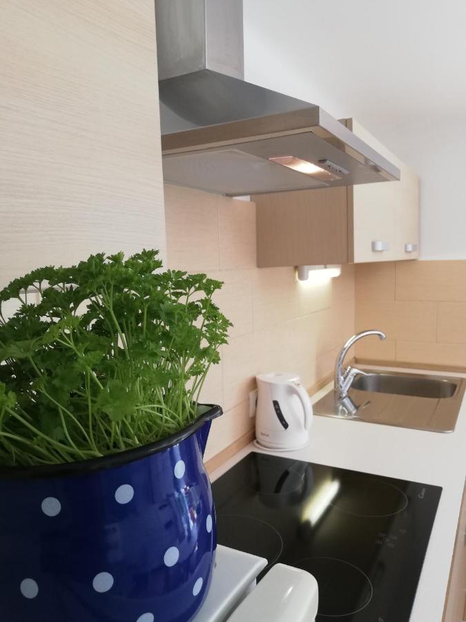 Apartments Mas Dovje Kültér fotó